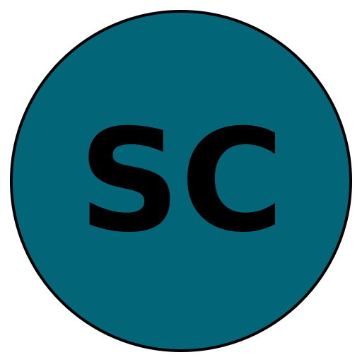 SavvyCareer